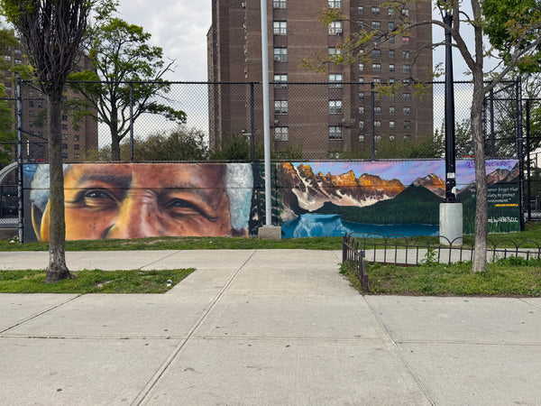 Nelson Mandela Environment Mural
