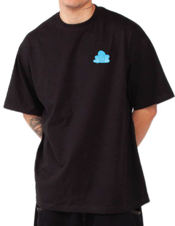 Spider-Cam heavyweight t-shirt