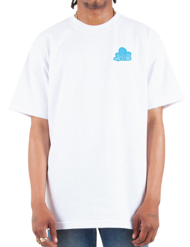 Spider-Cam heavyweight t-shirt